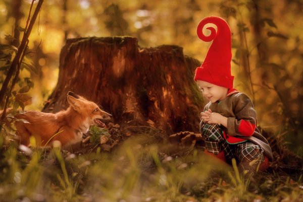 Лесные Гномы фотосессия