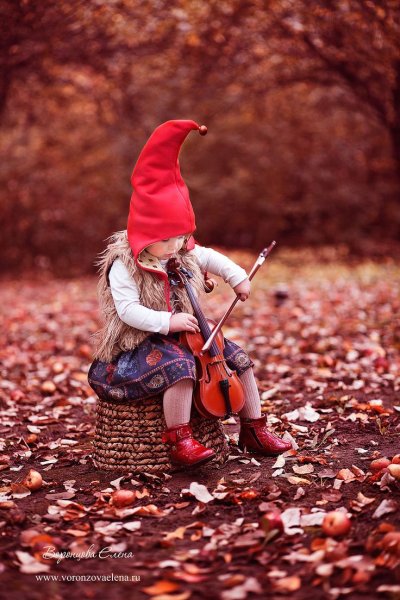 Осенние Гномы