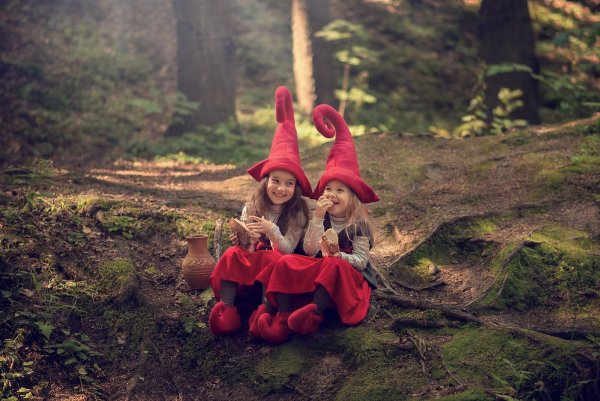 Гномы в лесу