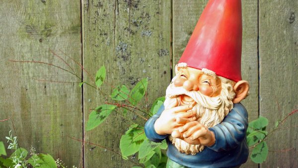 Прикольные Гномы