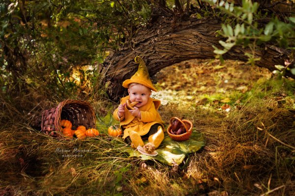 Сказочная осень