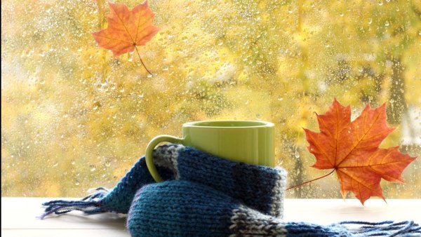 Похолодание и дожди