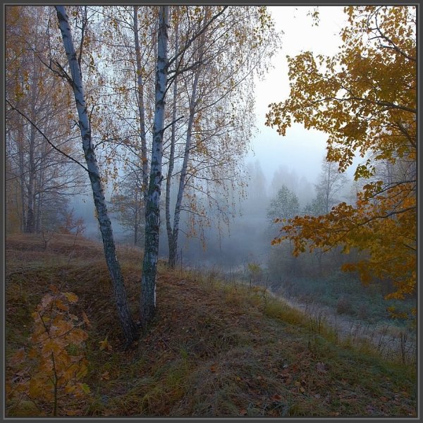 Холодная осень