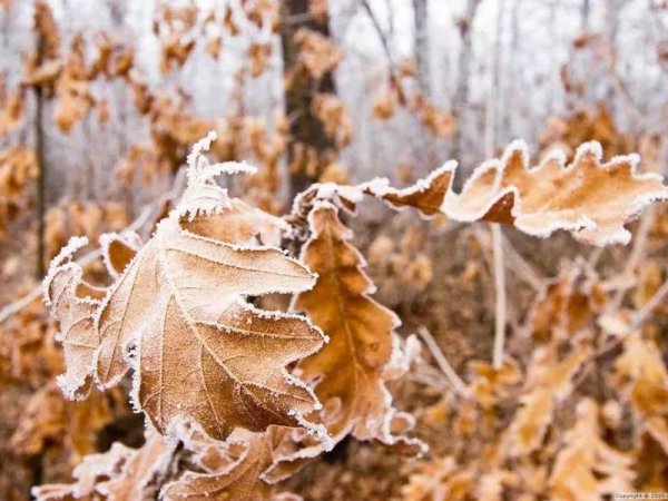 Осень холодно