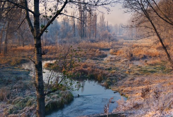 Холодная осень