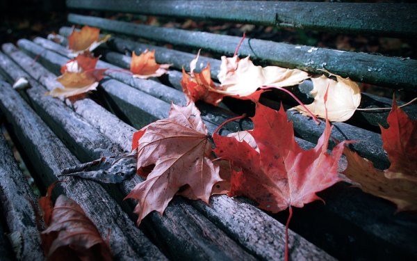 Холодная осень