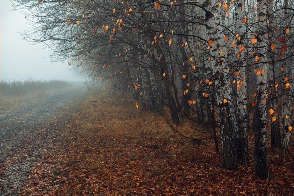 Поздняя осень Эстетика