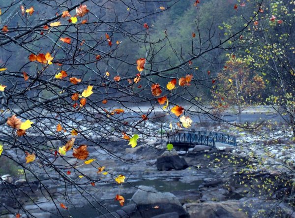 Поздняя дождливая осень