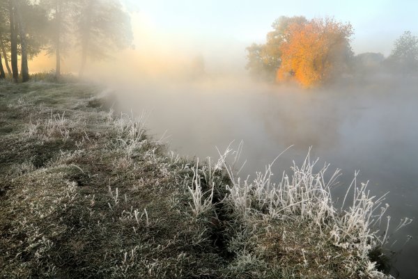 Осенний туман