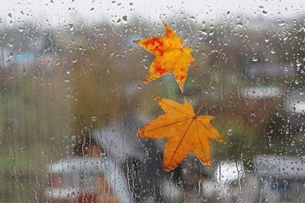 Холодная дождливая осень