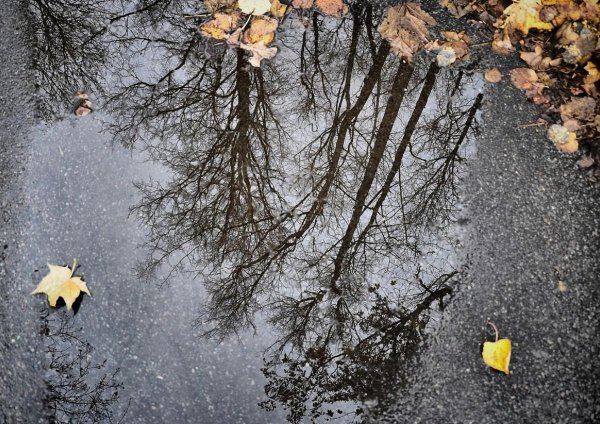 Дождь поздней осенью