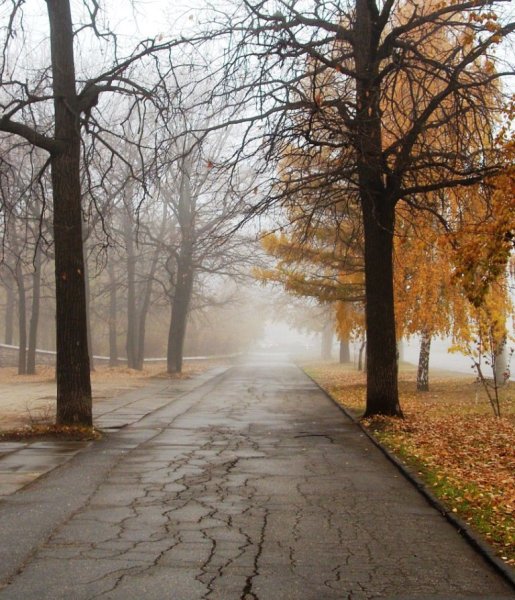 Пасмурная осень