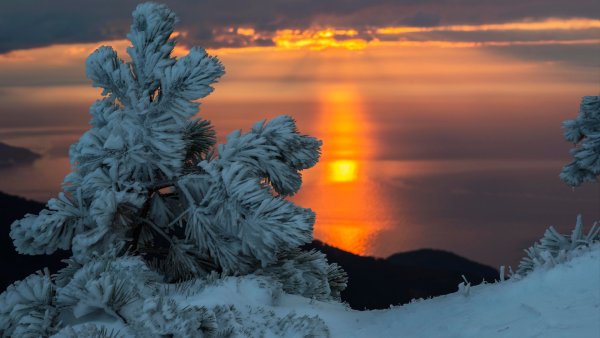 Зима снег солнце