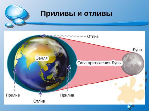 Приливы и отливы влияние Луны схема