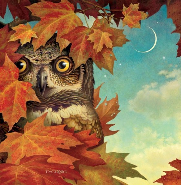 Осенняя Сова