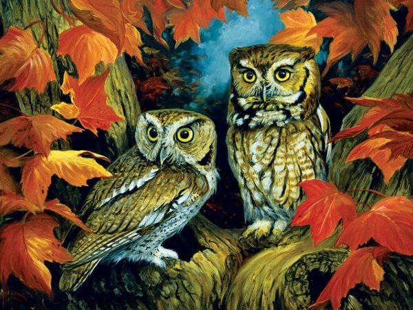 Картина Сова