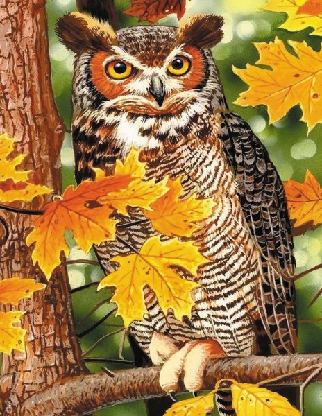 Алмазная мозаика - Филин