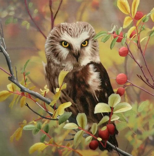 Сова на веточке
