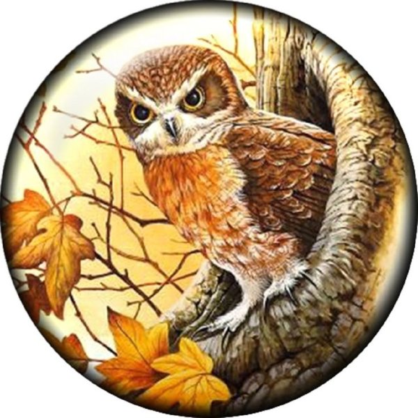 Круглый Совенок