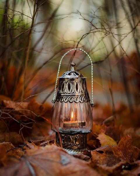Осень фонарик