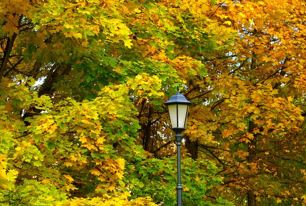 Осенний фонарь