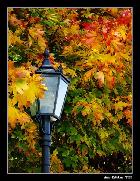 Осенний вечер в саду