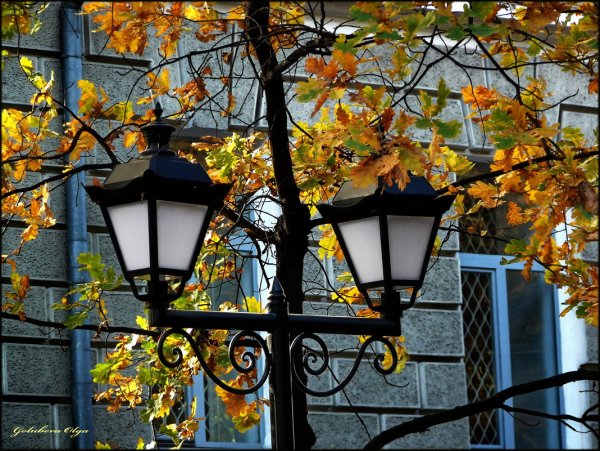 Осень фонарь