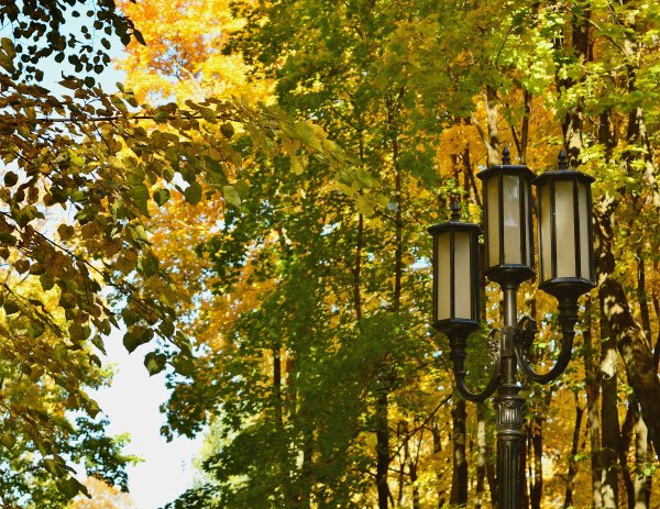 Аллея с фонарями