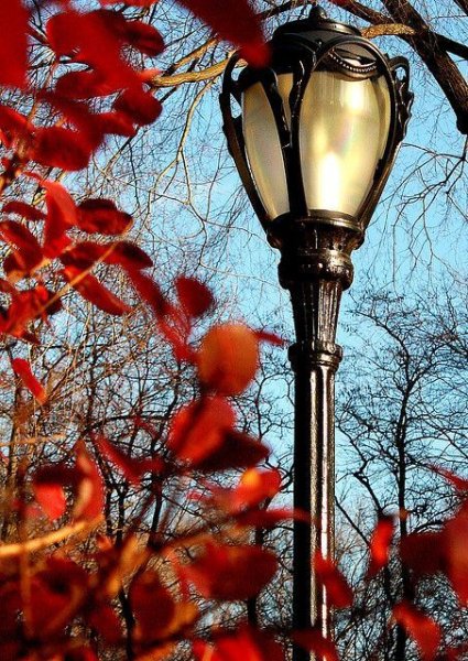 Осень фонарь