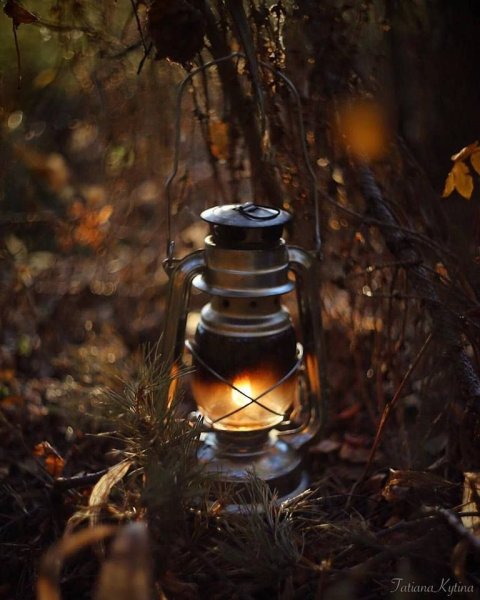 Фонарик для леса