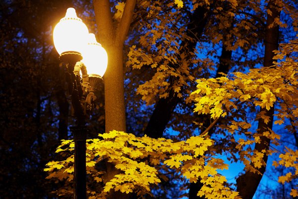 Осенний фонарь