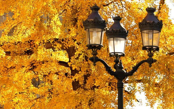 Осень фонарь