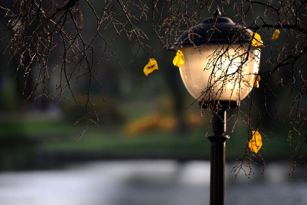 Осенний фонарь