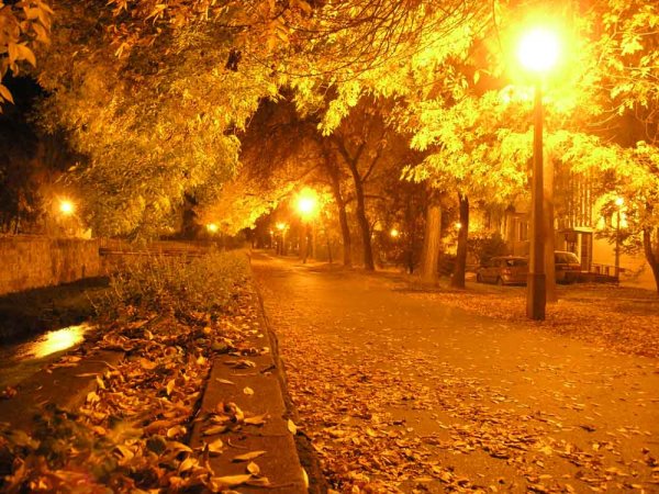 Осенний вечер в городе