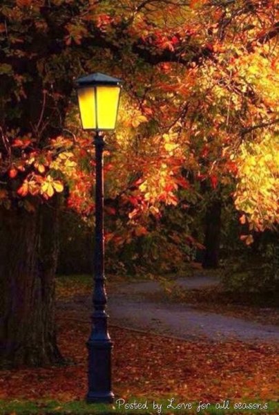 Вечерние фонари