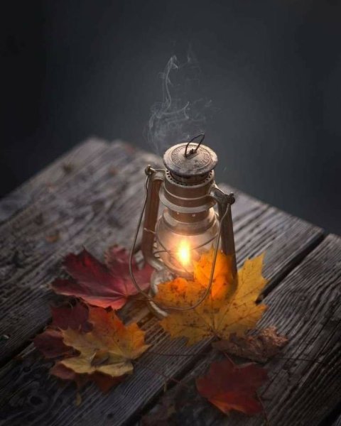 Уютная осень