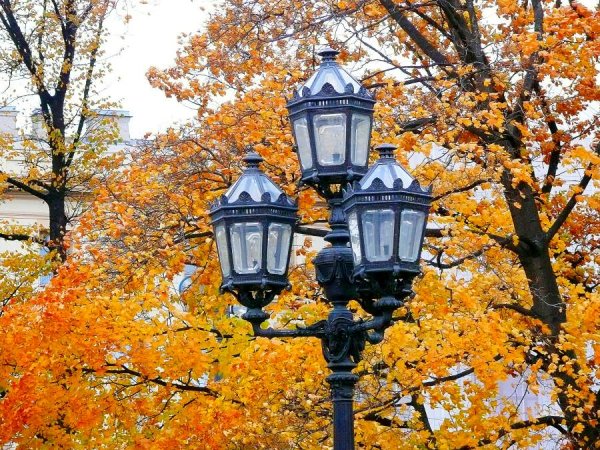 Осень в городе с фонарями