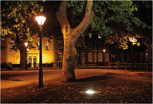 Ночная улица осенью