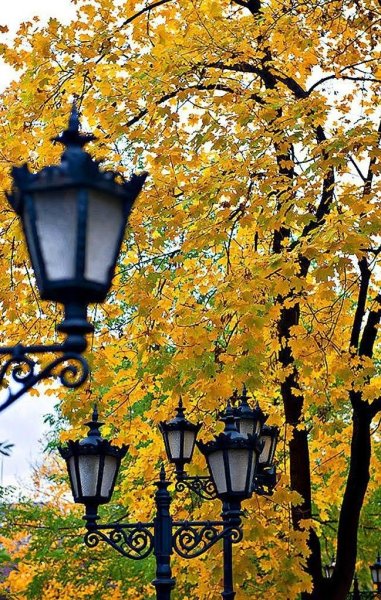 Фонари в парке