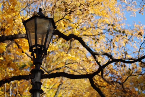 Осень фонарь