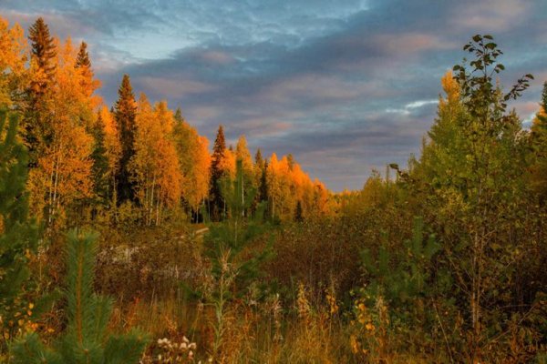 Таежный Хабаровский край осень поселок