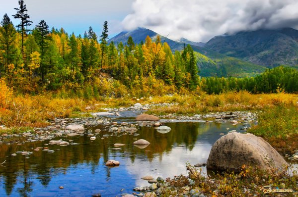 Тайга осенью