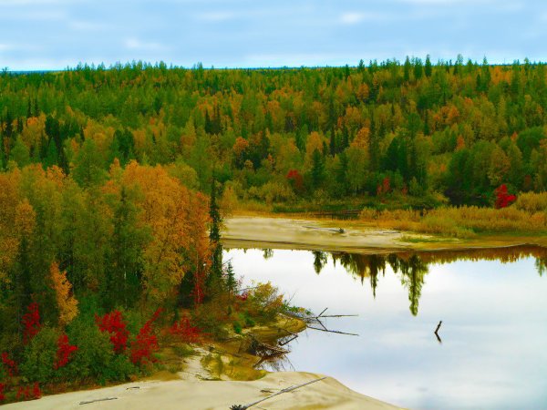Осень в тайге фото