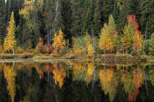 Таежный Хабаровский край осень