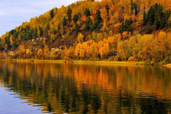 Тобольск природа реки Тайга