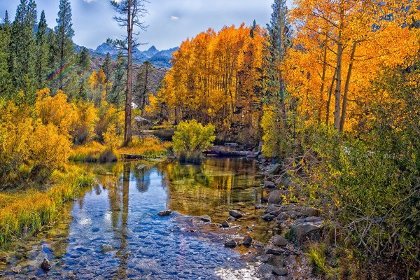 Осень в Сибири