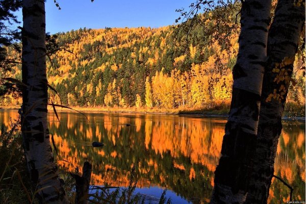 Осень в Сибири