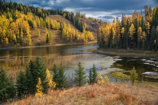 Таёжное озеро горный Алтай