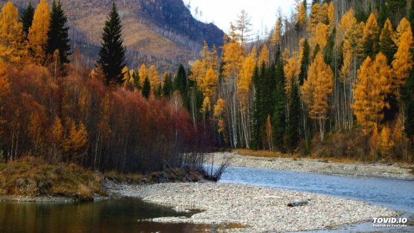 Сибирь осенью