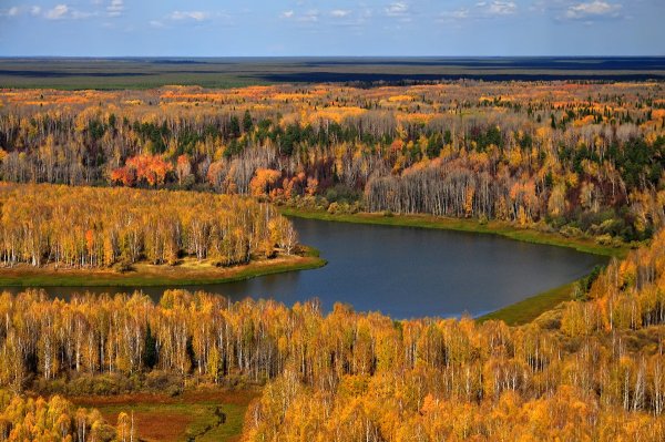 Осень в Сибири